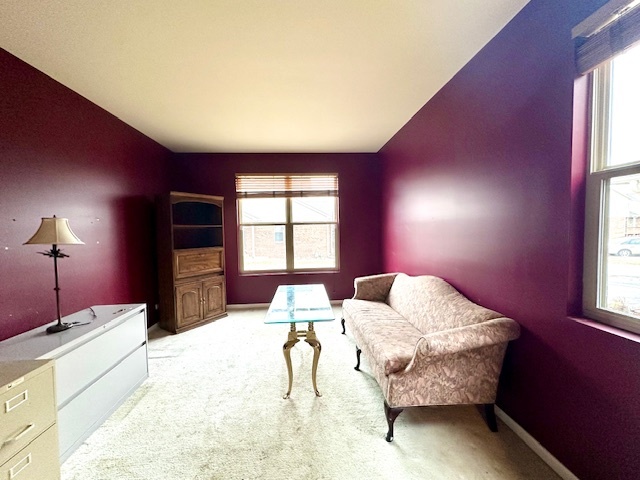 749 St Johns Place Addison, IL 60101 - Photo 9 of 22 Gallery Image 9