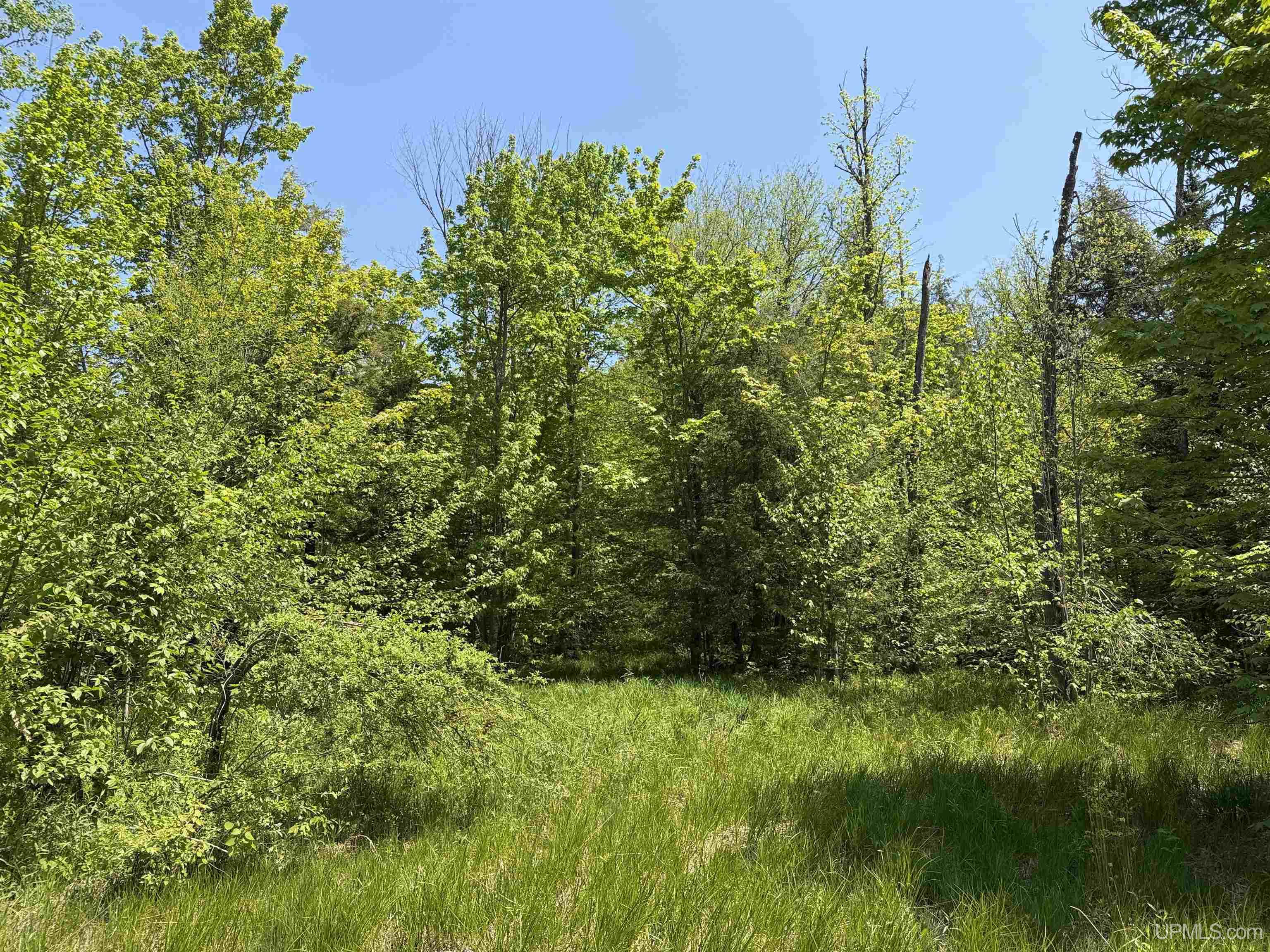 Off East Lake Road Ironwood, MI 49938 - Photo 7 of 30