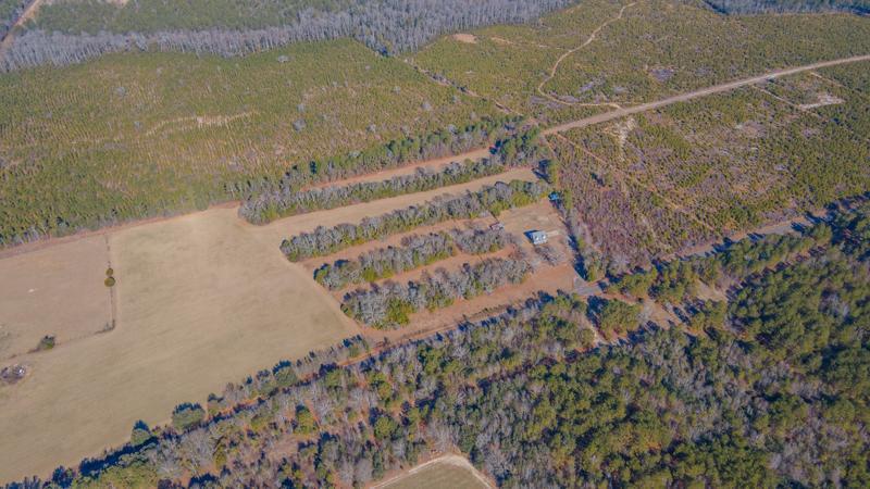 185 Peach Cider Road Batesburg, SC 29006 - Photo 51 of 65