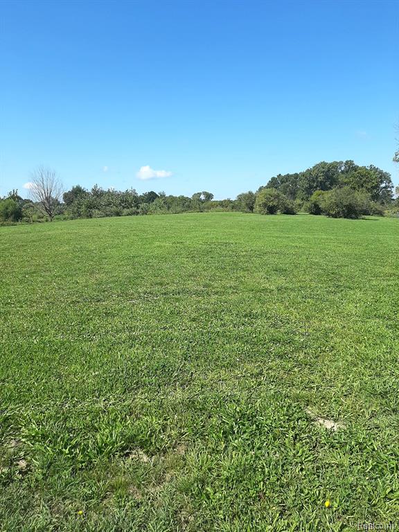 19500 Wasson Road Gregory, MI 48137 - Photo 18 of 30