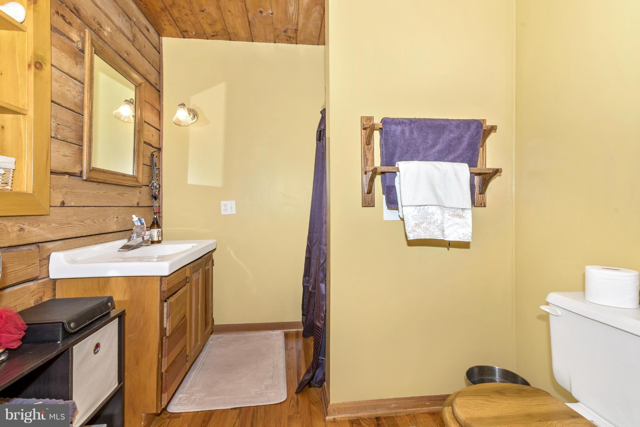 4706 Mt Zion Road Frederick, MD 21703 - Photo 22 of 30 Bath
