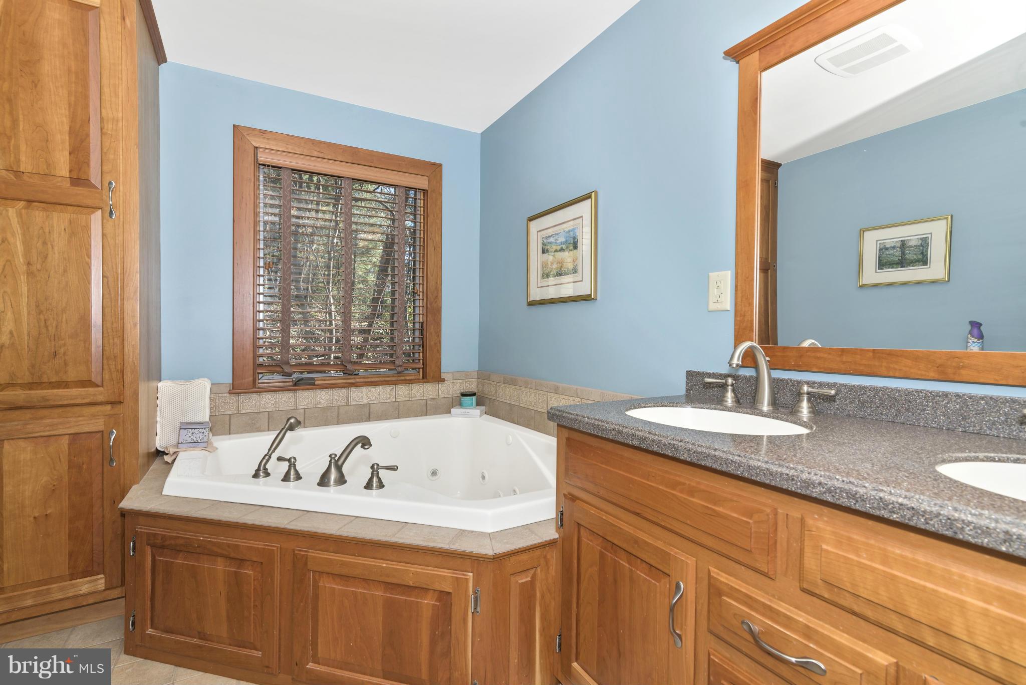 4706 Mt Zion Road Frederick, MD 21703 - Photo 26 of 30 Bath (Master)