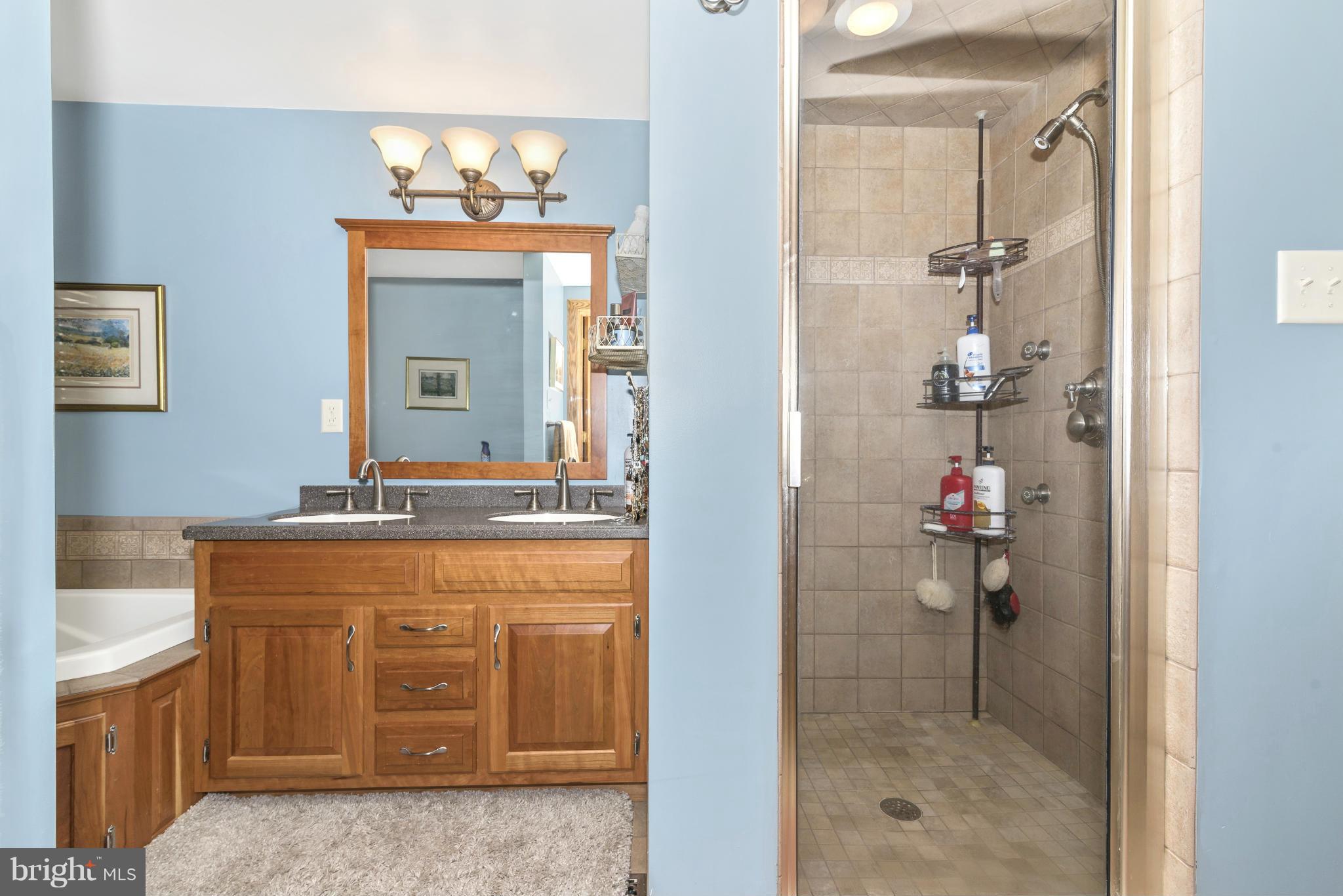 4706 Mt Zion Road Frederick, MD 21703 - Photo 27 of 30 Bath (Master)