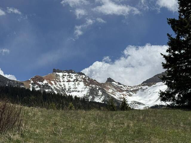 Lot 56 Trout Lake Road Ophir, CO 81426 - Photo 4 of 5 IMG_0632