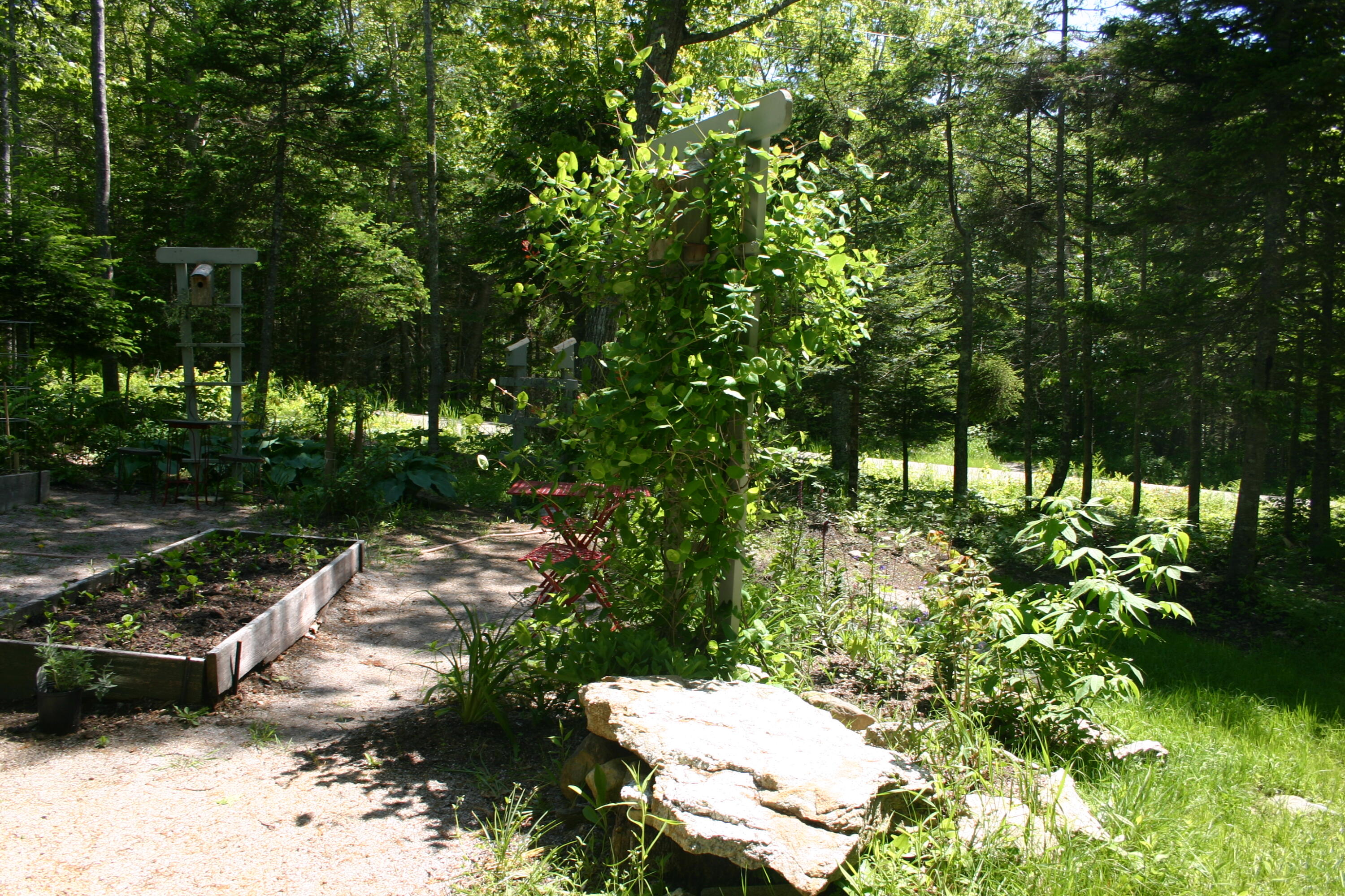 36 Granite Hill Road Pemaquid, ME 04558 - Photo 100 of 134 IMG_0447