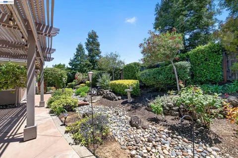 a view of a garden with plants and large trees
