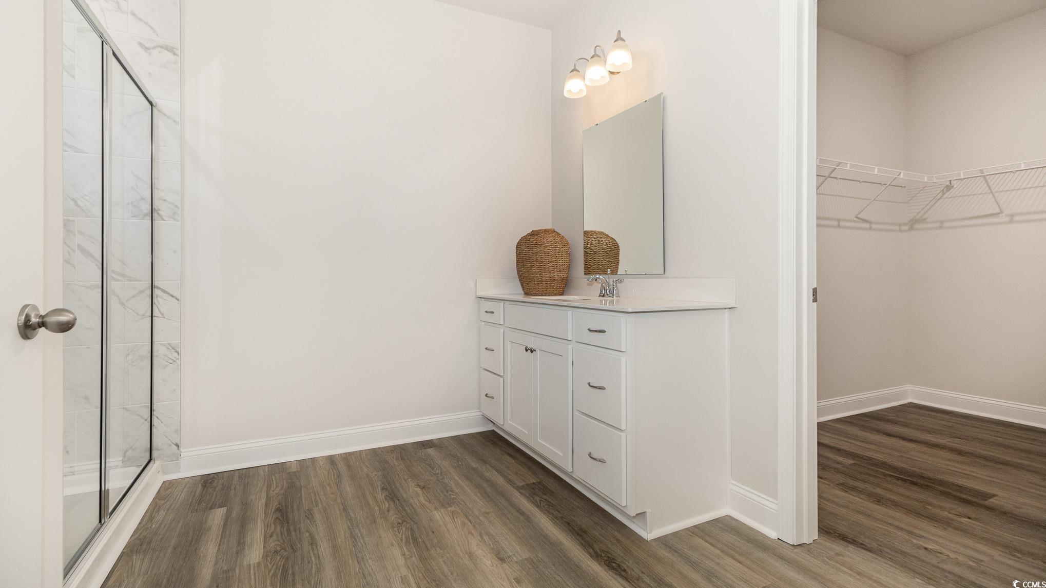 113 Keithland Drive Conway, SC 29527 - Photo 12 of 24 Bathroom featuring wood finished floors, a spacious closet, a stall shower, and vanity