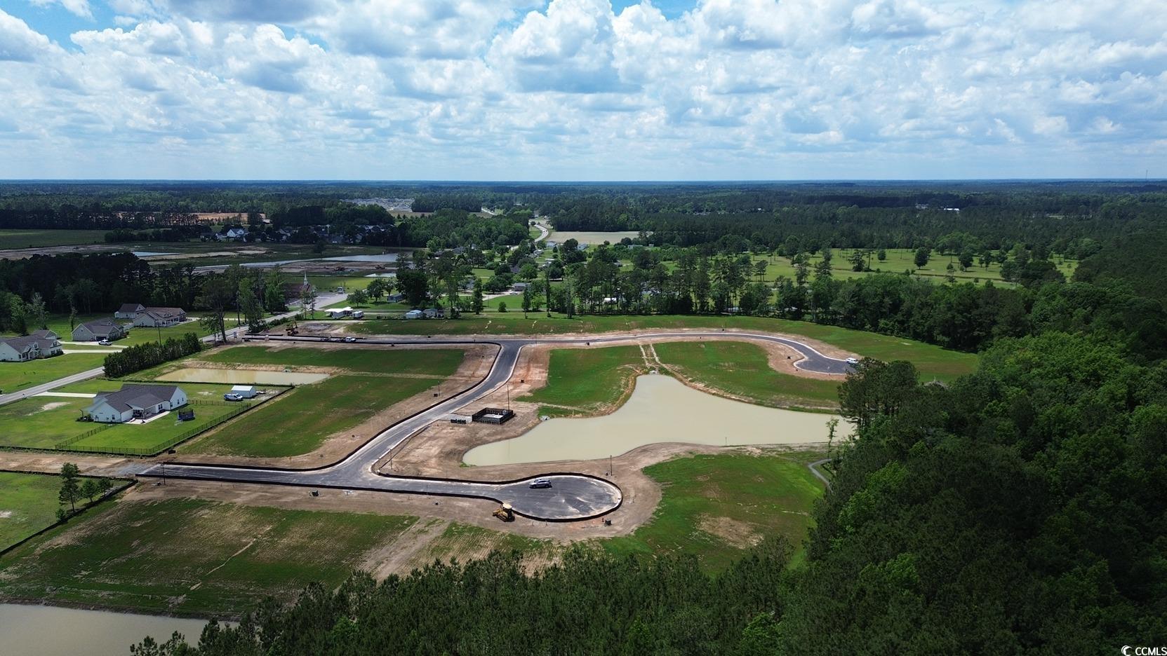 113 Keithland Drive Conway, SC 29527 - Photo 22 of 24 Aerial view of a heavily wooded area