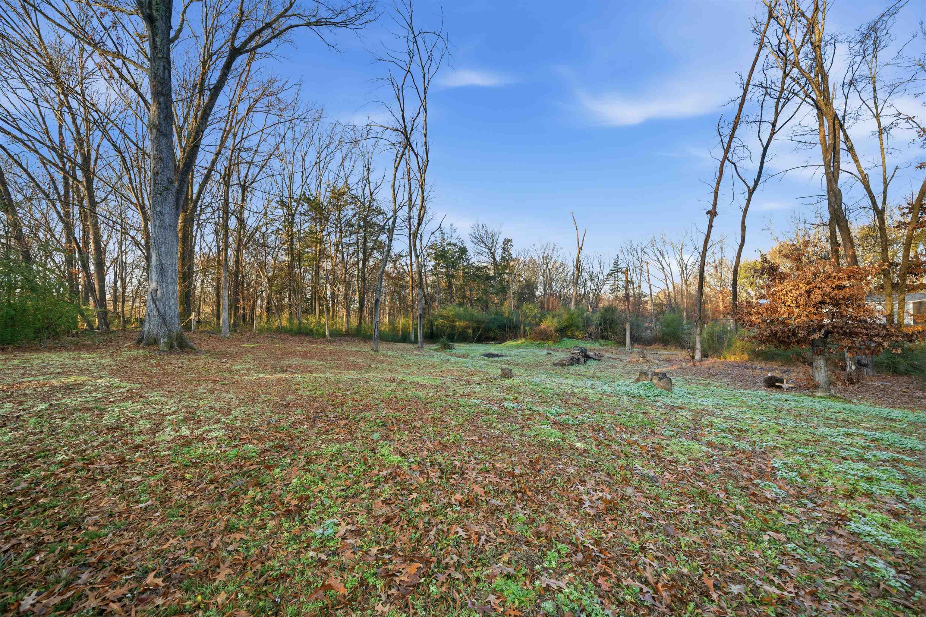 79 Stevens Road Mason, TN 38049 - Photo 20 of 21 a view of backyard space