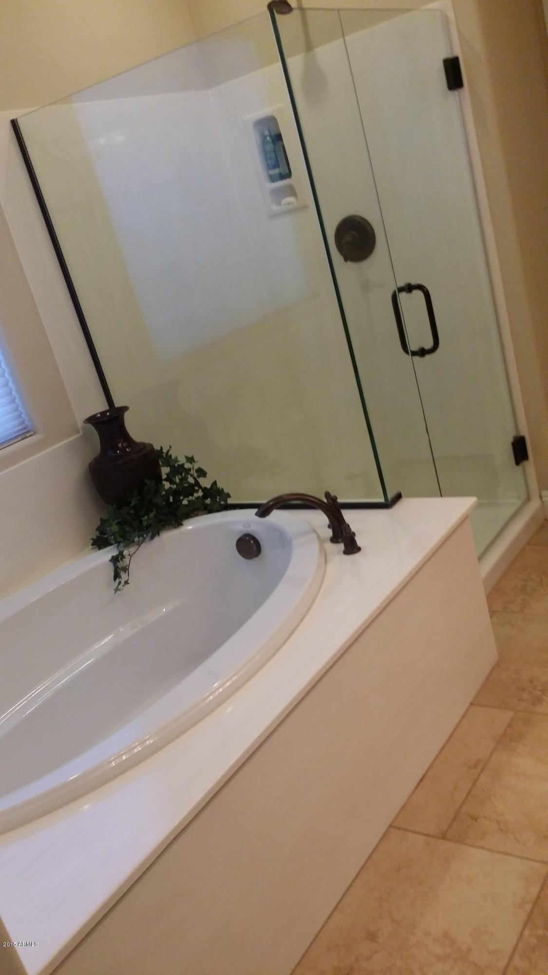 3036 East Blue Sage Road Gilbert, AZ 85297 - Photo 23 of 36 20150719_173349(1)
