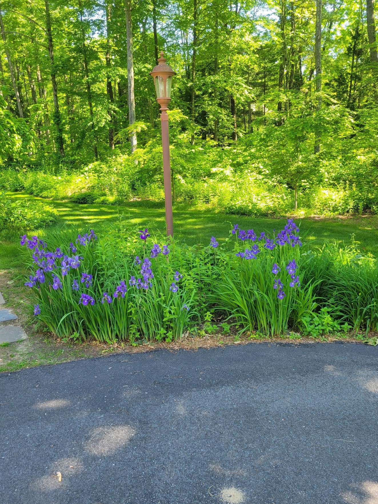 6 Nancy Lane Hooksett, NH 03106 - Photo 2 of 59