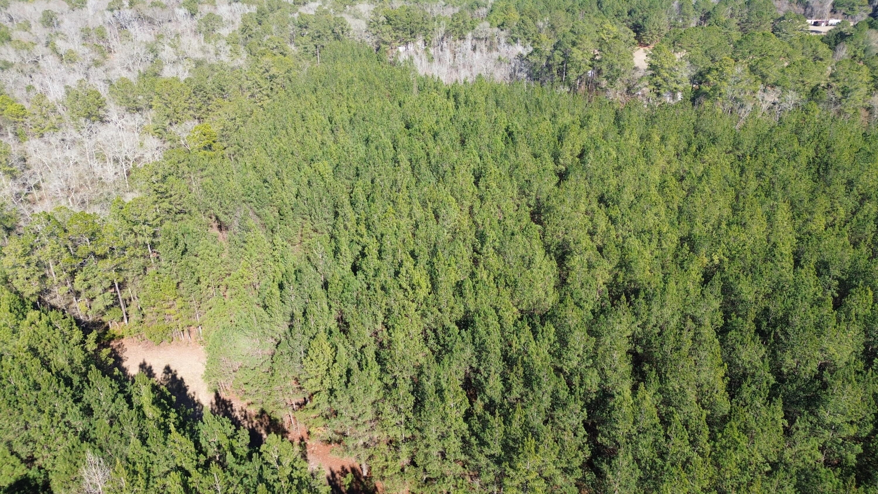 DJI_0452