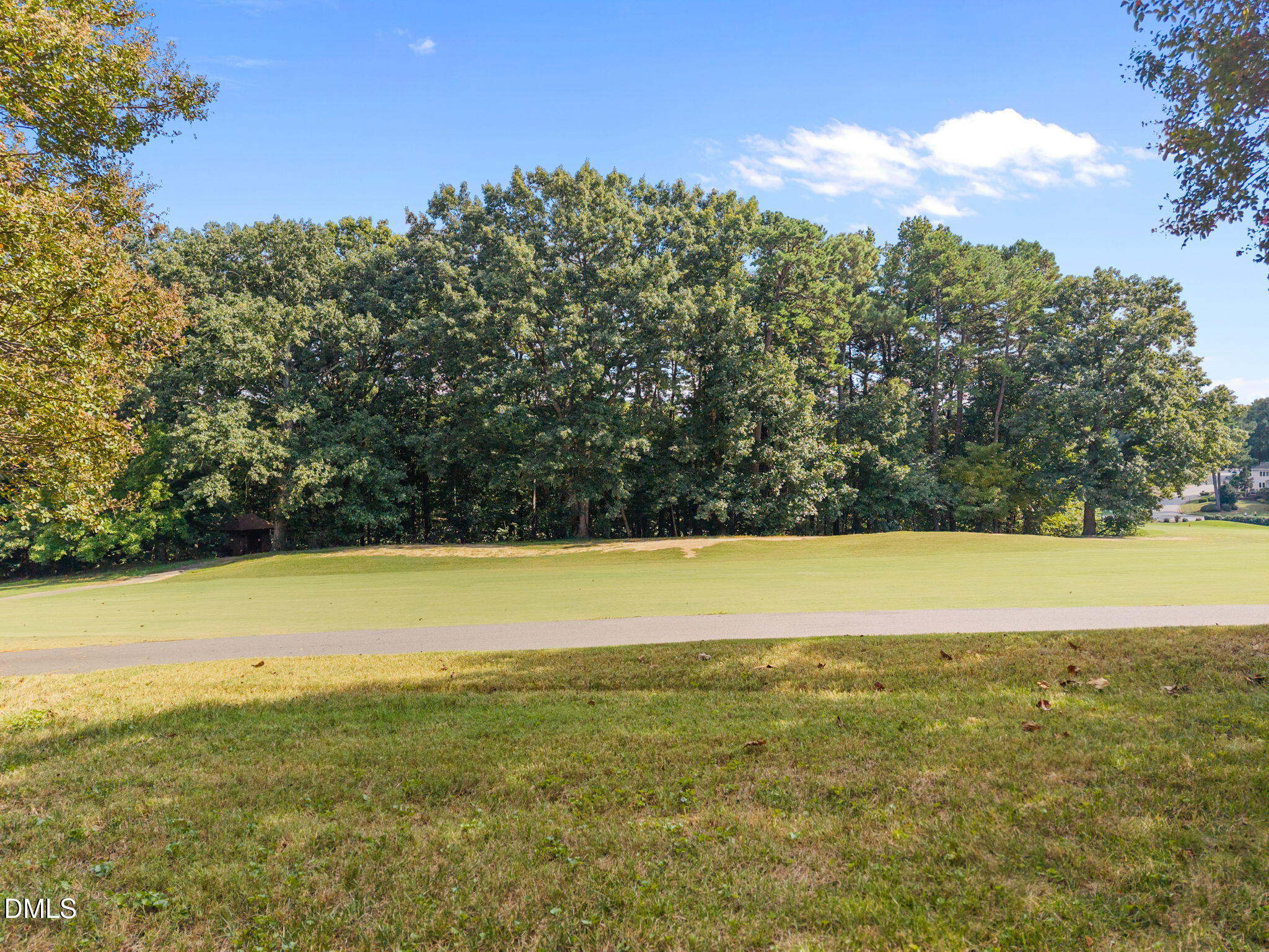 10109 Goodview Court Raleigh, NC 27613 - Photo 2 of 49 Golf course view!