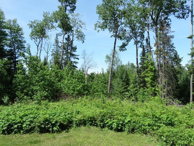 4875 Little Pike Road Mercer, WI 54547 - Photo 11 of 20 Gallery Image 11
