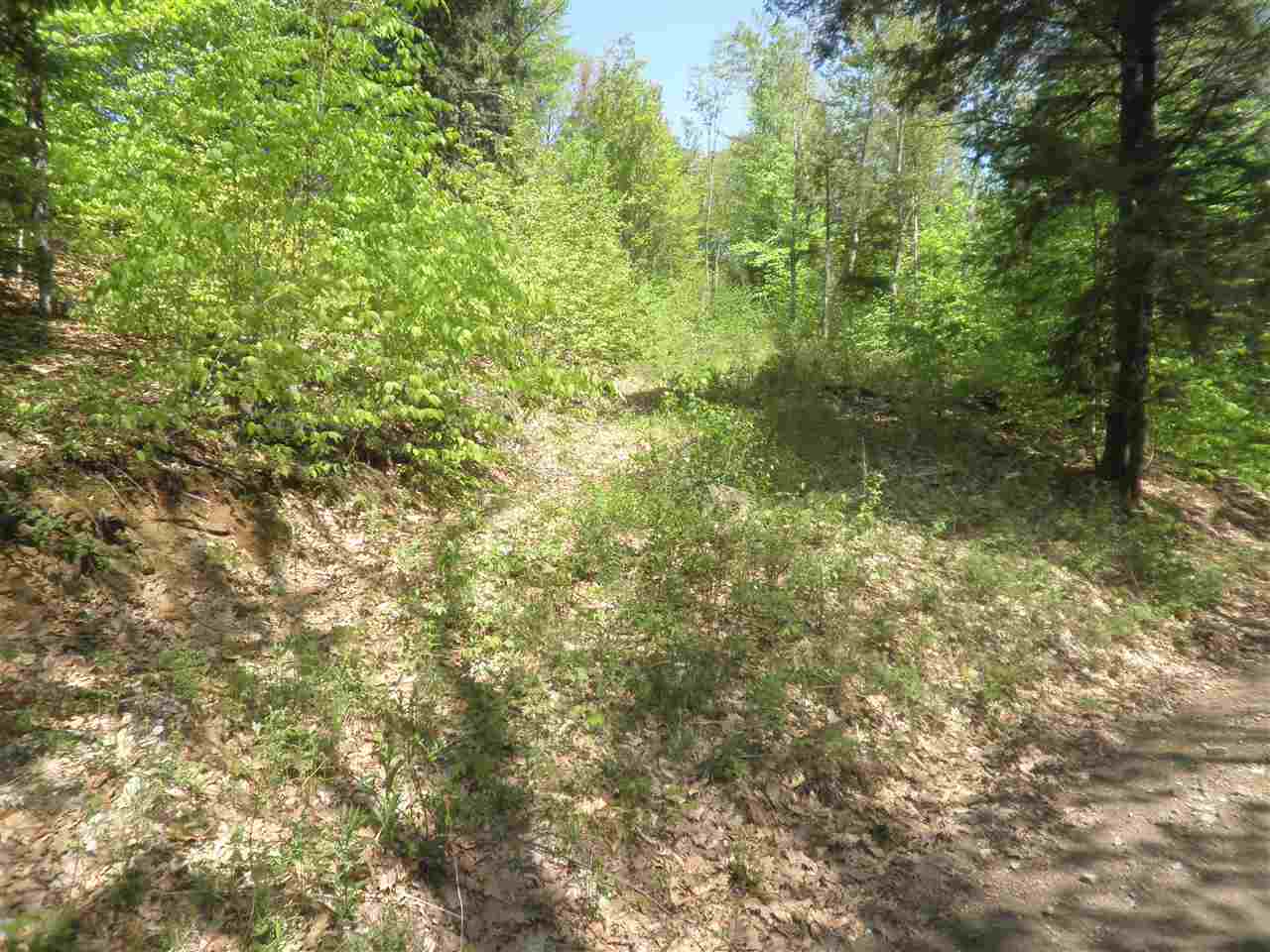 0 Mutton Road Webster, NH 03303 - Photo 1 of 6 Gallery Image 1