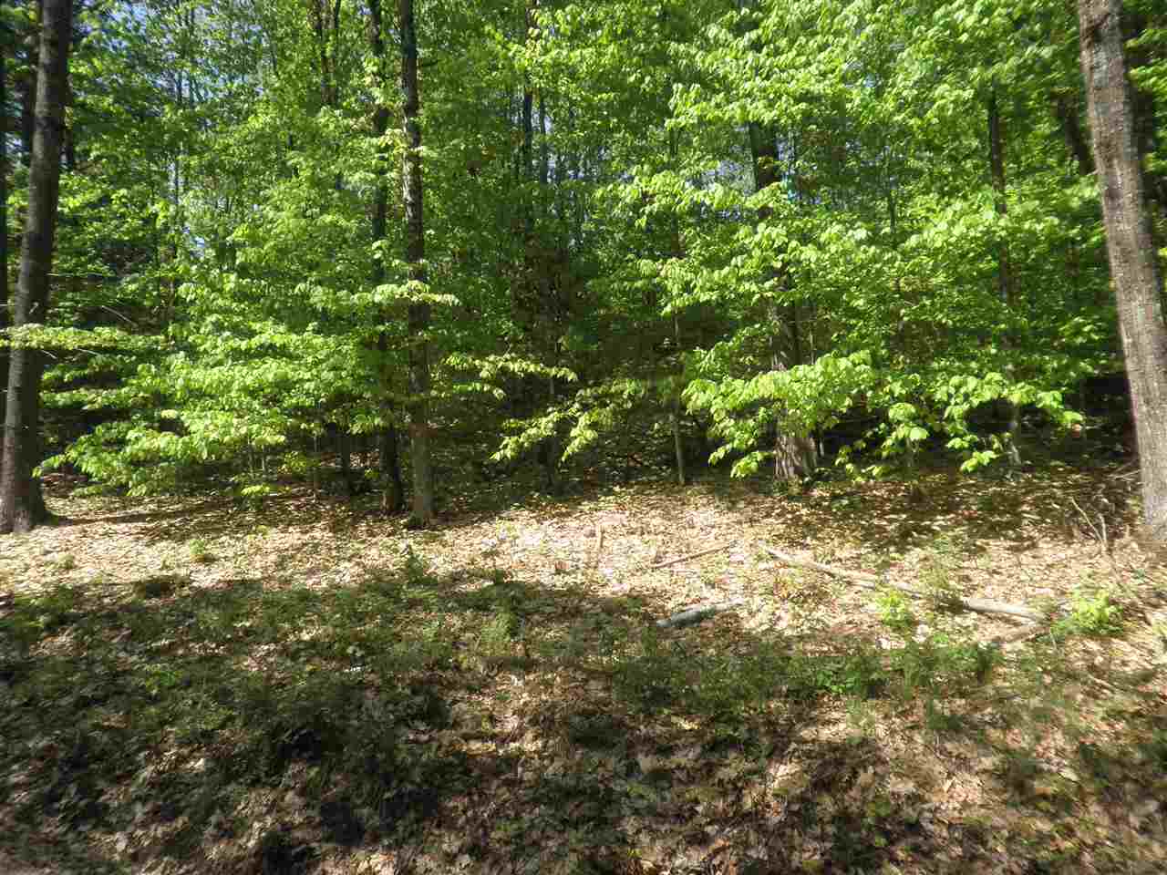0 Mutton Road Webster, NH 03303 - Photo 2 of 6 Gallery Image 2