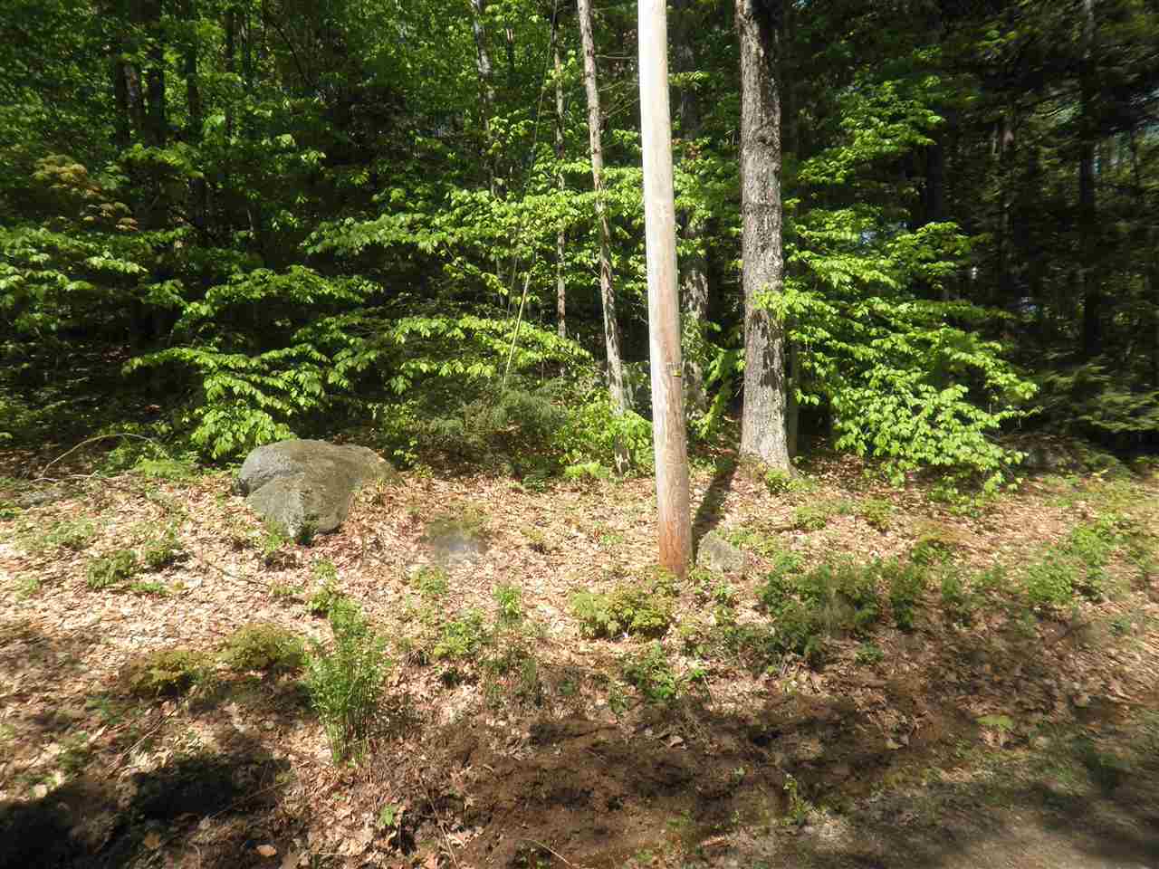 0 Mutton Road Webster, NH 03303 - Photo 3 of 6 Gallery Image 3