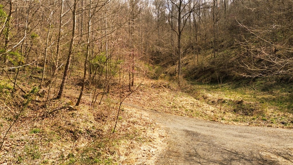 Tbd Caney Valley Road Bristol, VA 24202 - Photo 23 of 23 Gallery Image 23