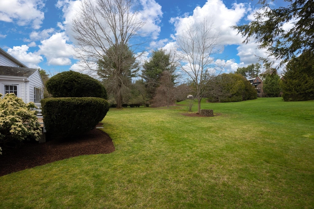 169 Fox Hill Road Needham, MA 02492 - Photo 15 of 22 a view of backyard with green space