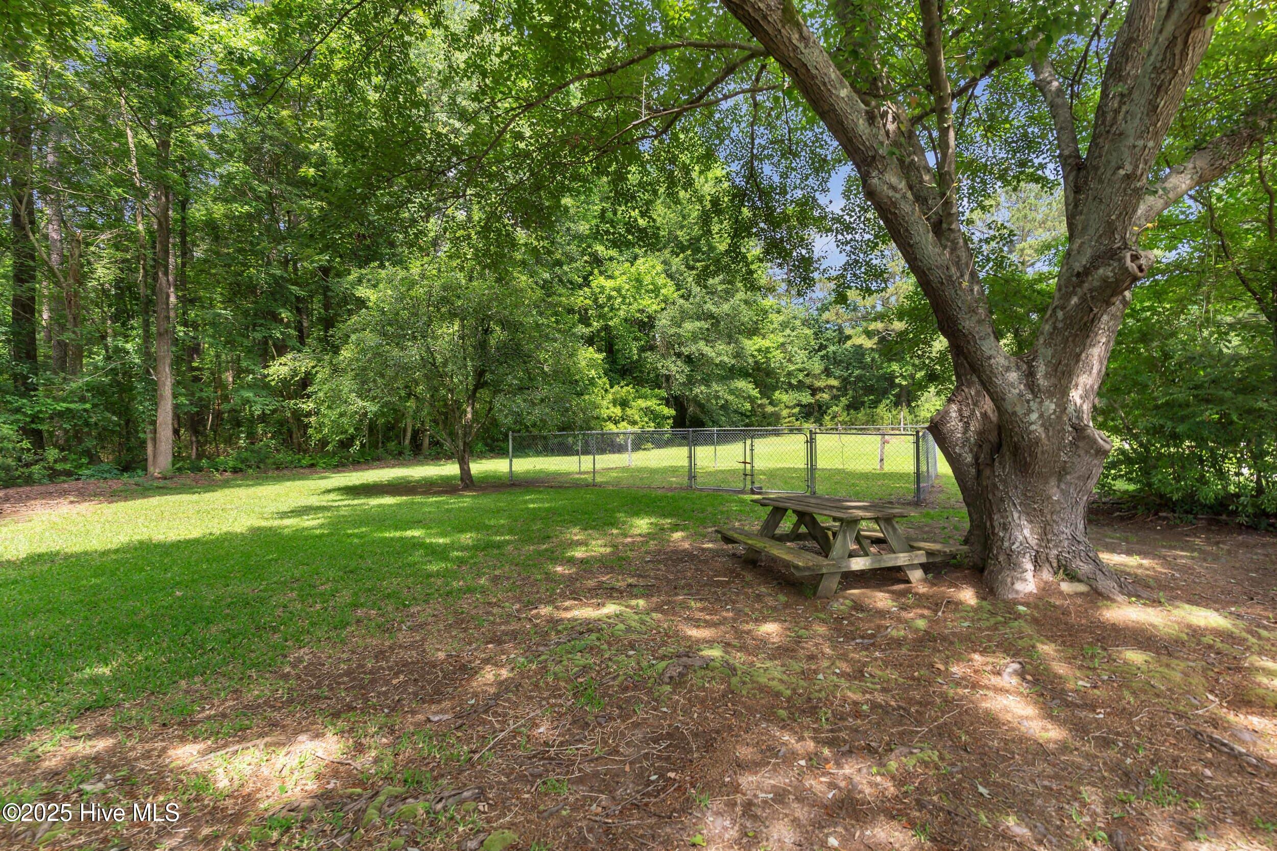 232 Old Savannah Road Burgaw, NC 28425 - Photo 41 of 54 232oldsavannahrd_00037