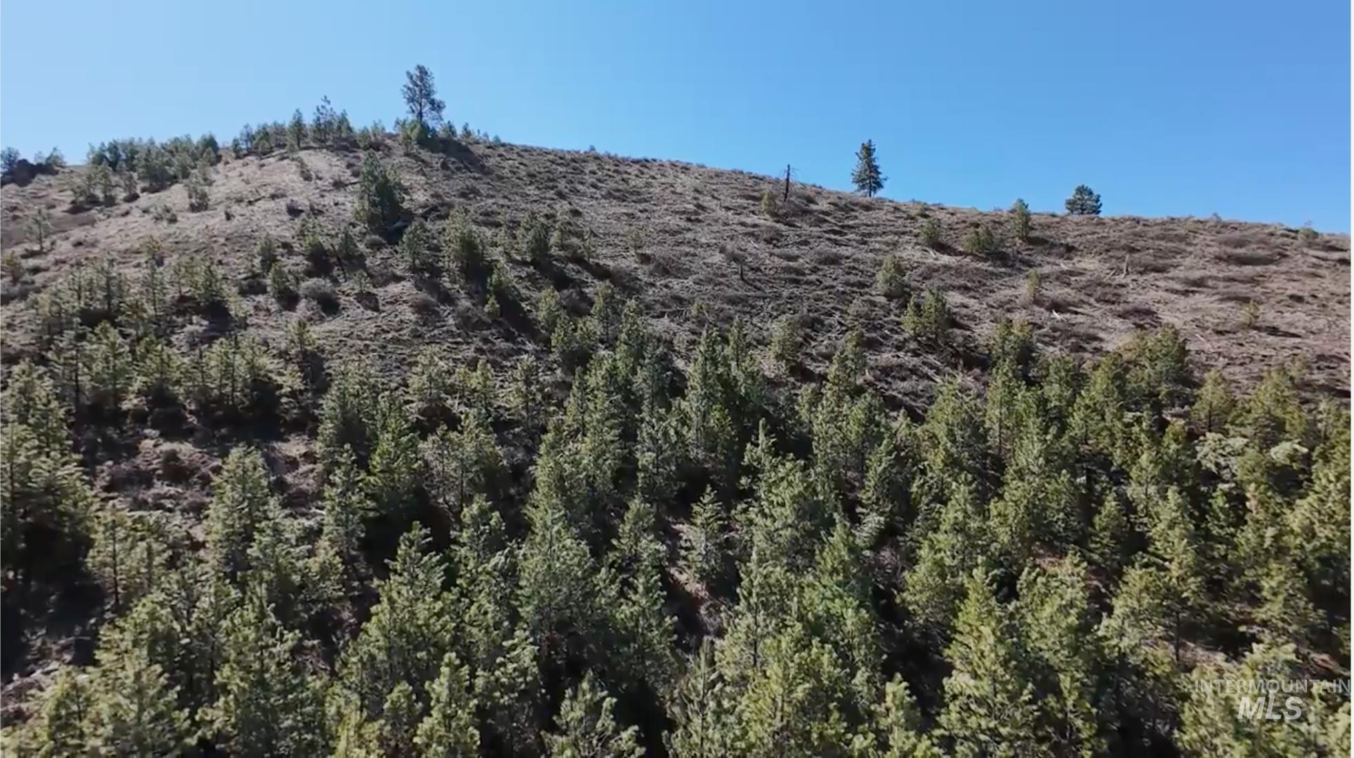 Tbd West Corral Flat Road Boise, ID 83716 - Photo 12 of 15