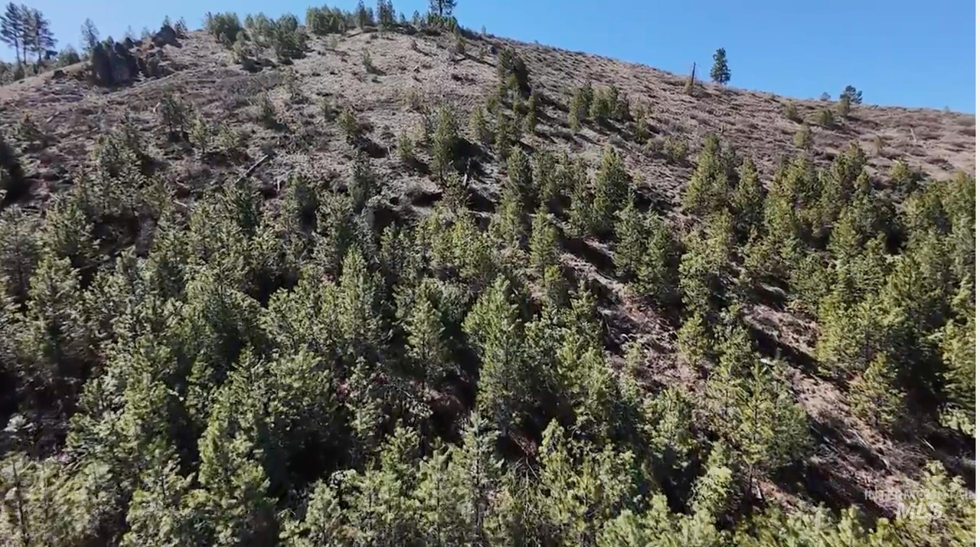 Tbd West Corral Flat Road Boise, ID 83716 - Photo 9 of 15