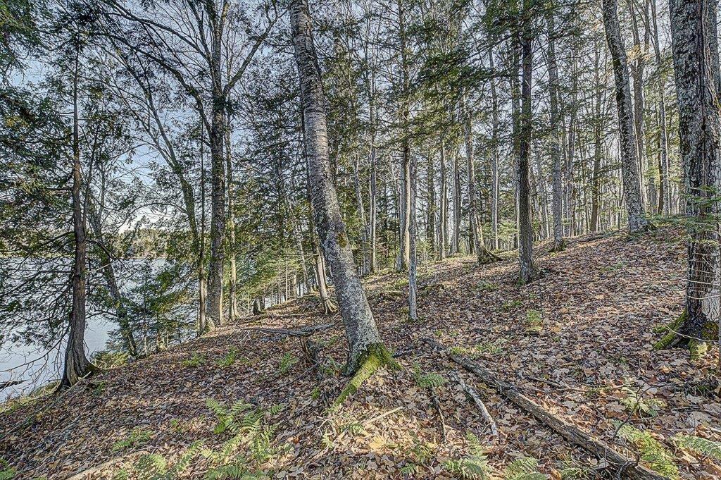 On Timber Wolf Road, Unit LOT #31 Presque Isle, WI 54557 - Photo 2 of 13 Gallery Image 2