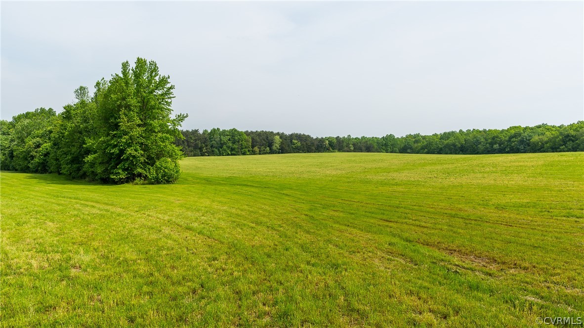 4500 Factory Mill Road Maidens, VA 23102 - Photo 23 of 40 Gallery Image 23