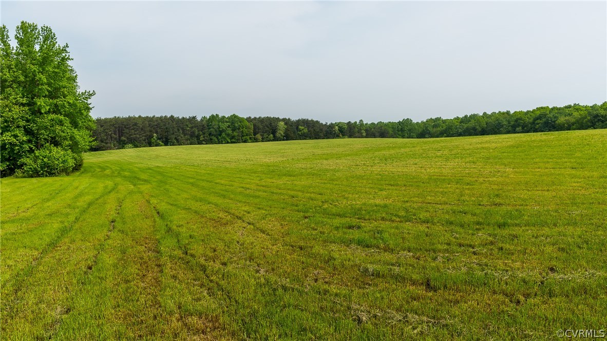 4500 Factory Mill Road Maidens, VA 23102 - Photo 24 of 40 Gallery Image 24