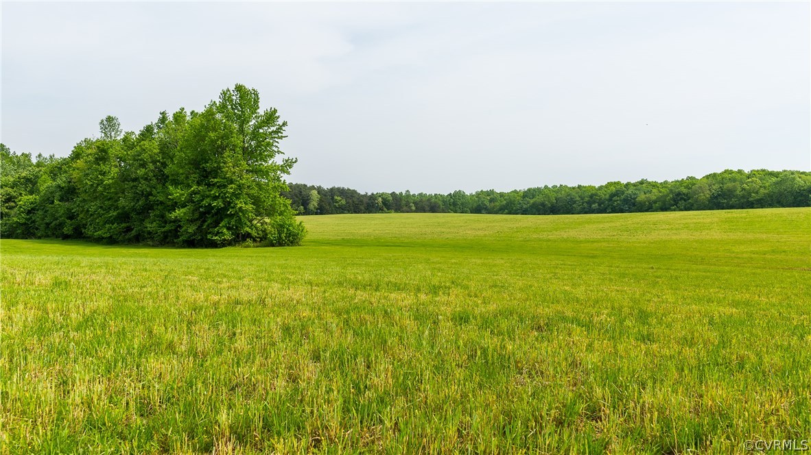4500 Factory Mill Road Maidens, VA 23102 - Photo 31 of 40 Gallery Image 31