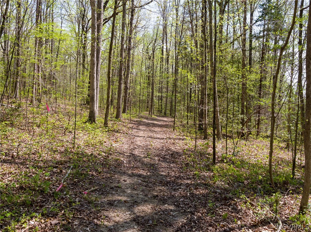 4500 Factory Mill Road Maidens, VA 23102 - Photo 34 of 40 Gallery Image 34