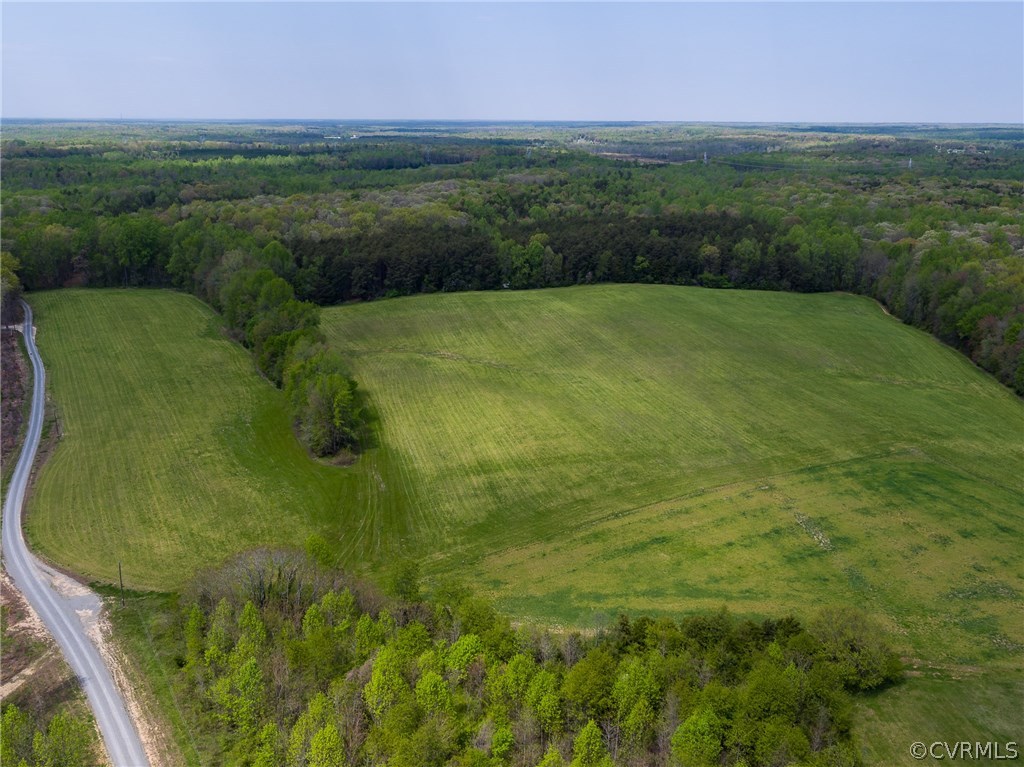4500 Factory Mill Road Maidens, VA 23102 - Photo 6 of 40 Gallery Image 6