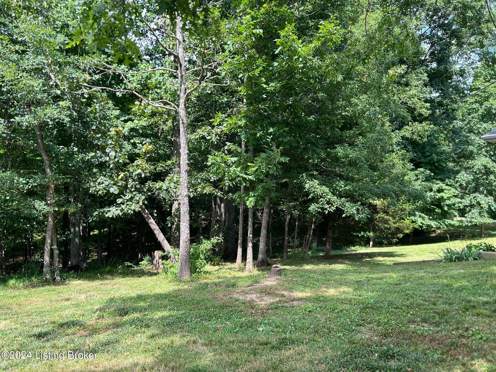7148 Bailey Road Mount Sherman, KY 42764 - Photo 39 of 41 7148 wood