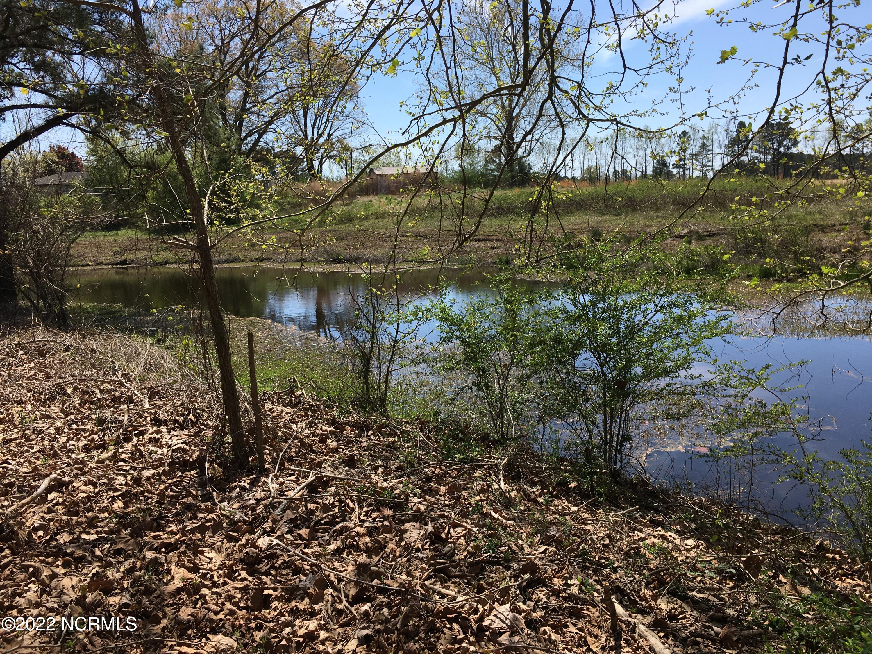 6651 Pine Ridge Road Faison, NC 28341 - Photo 17 of 19 Pond