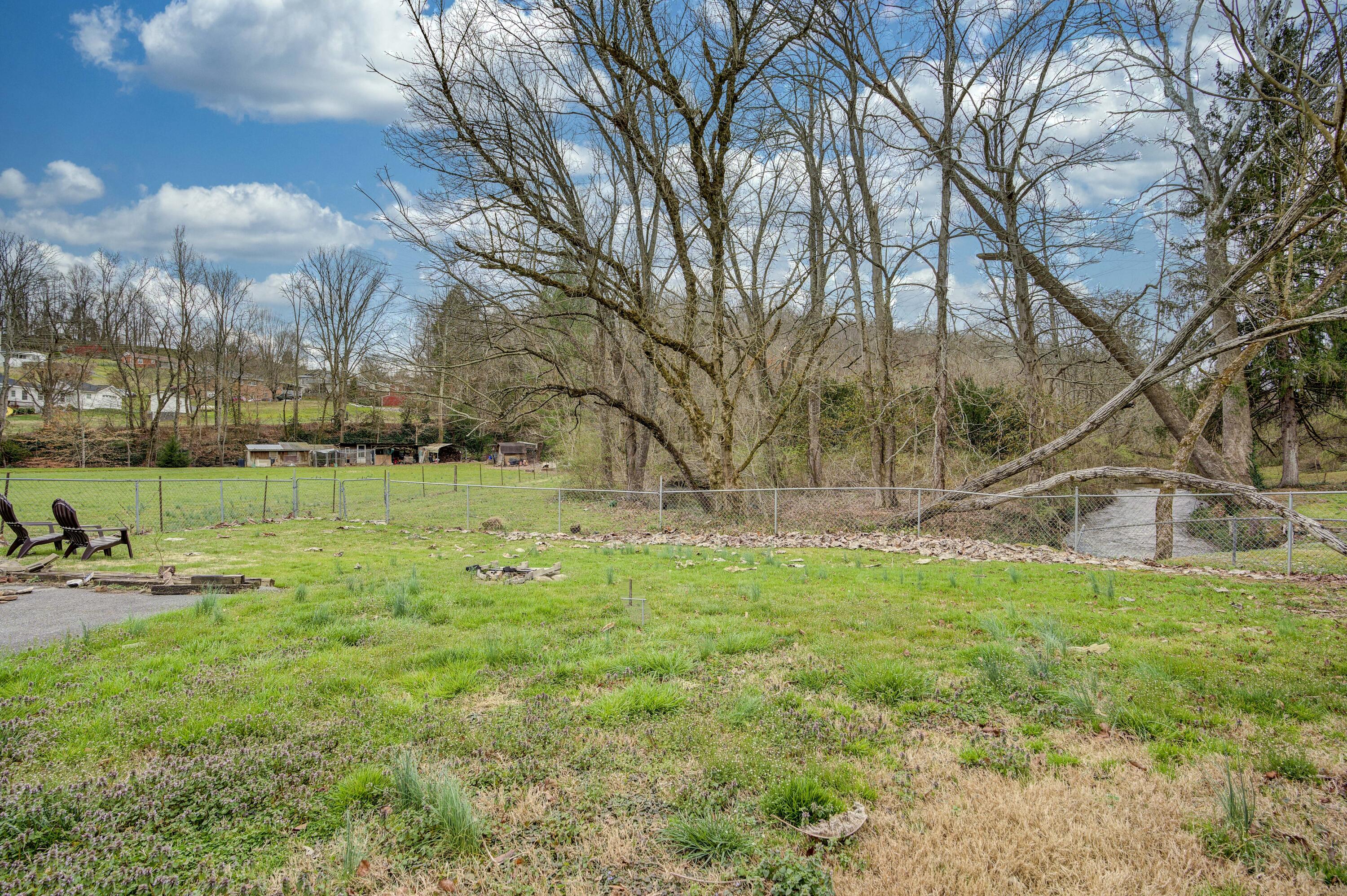 123 Joe Carr Road Johnson City, TN 37601 - Photo 34 of 40 JoeCarr--33
