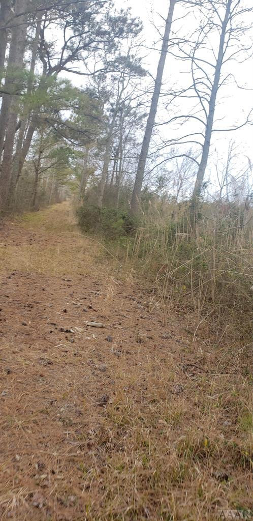 Tbd Tbd Wilderness Road Shiloh, NC 27974 - Photo 4 of 8