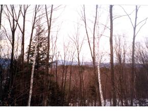 4 Top Ridge Mendon, VT 05701 - Photo 8 of 11