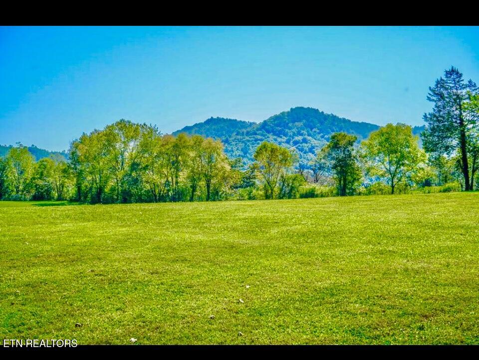 237 Myers Road Townsend, TN 37882 - Photo 7 of 7 Image 07