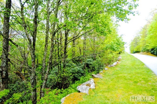 Lot 25 Highgate Road Highlands, NC 28741 - Photo 1 of 1 Gallery Image 1