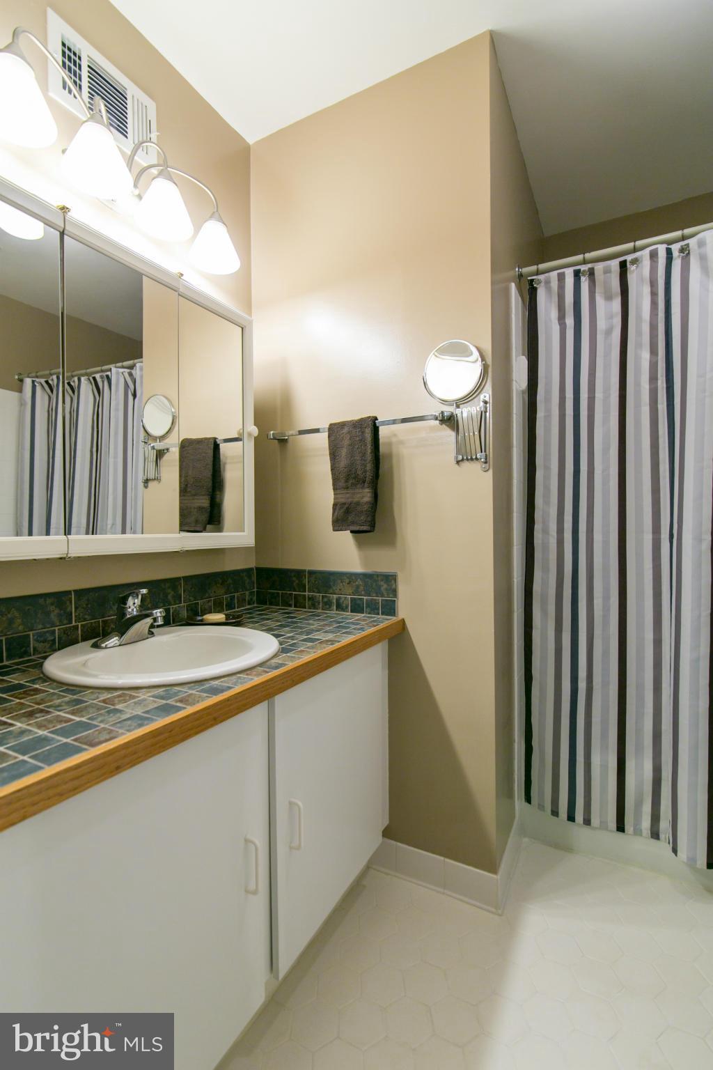 8000 West Point Drive Springfield, VA 22153 - Photo 27 of 30 Bathroom