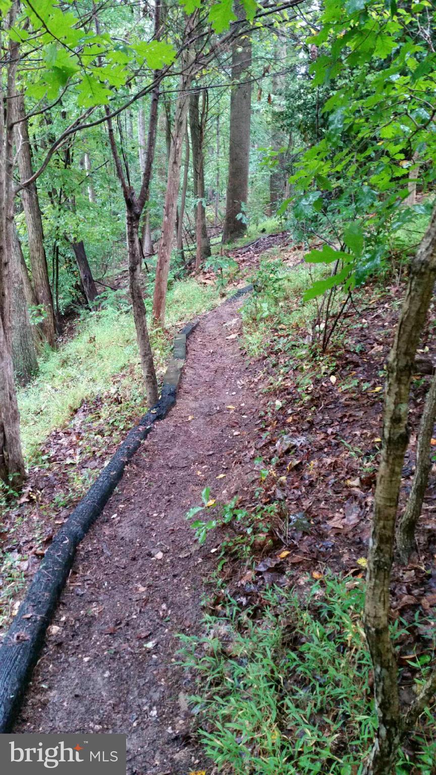 8000 West Point Drive Springfield, VA 22153 - Photo 30 of 30 Path in Backyard to Stream Below