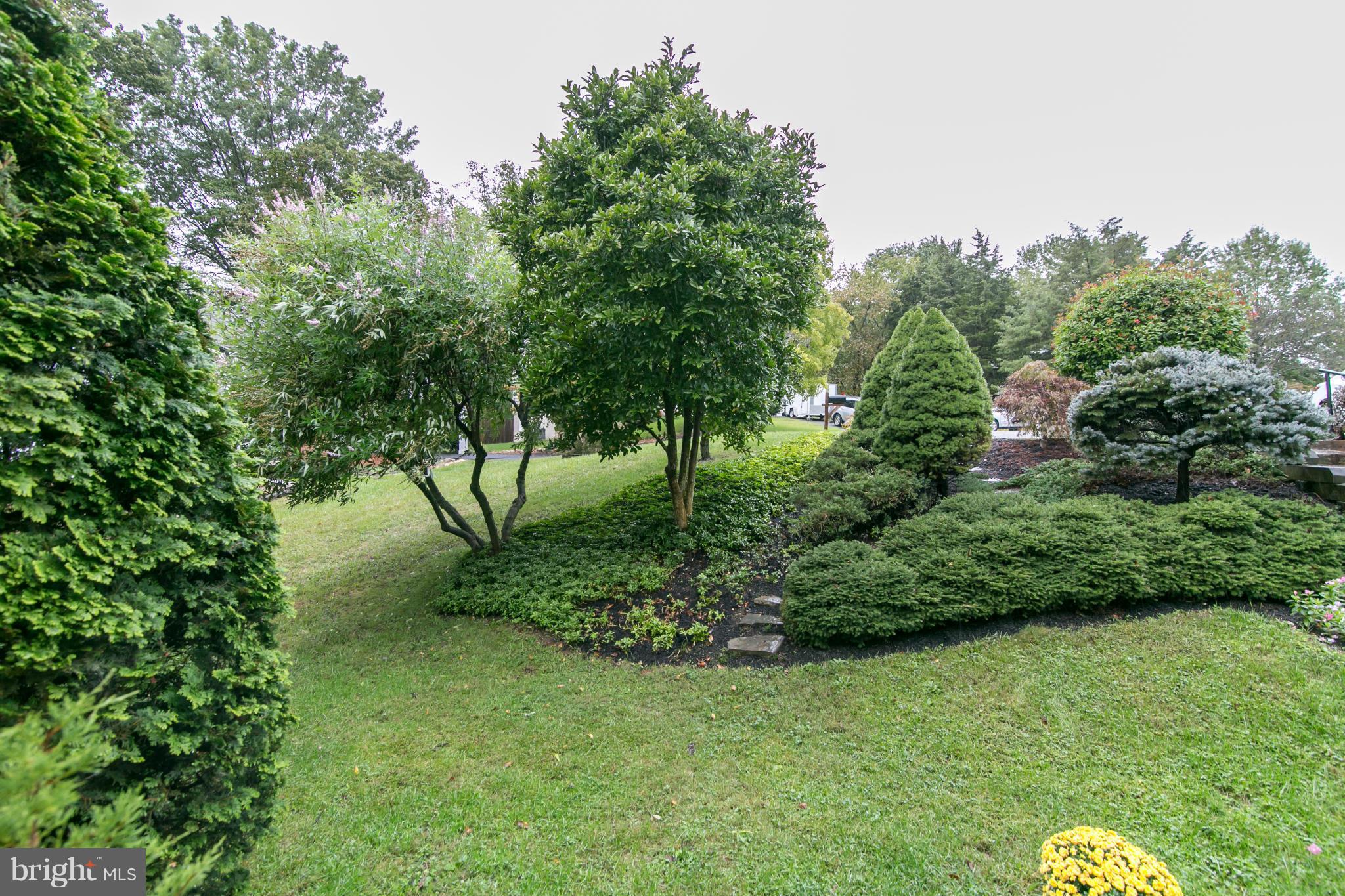 8000 West Point Drive Springfield, VA 22153 - Photo 4 of 30 Low Maintenance Landscaping