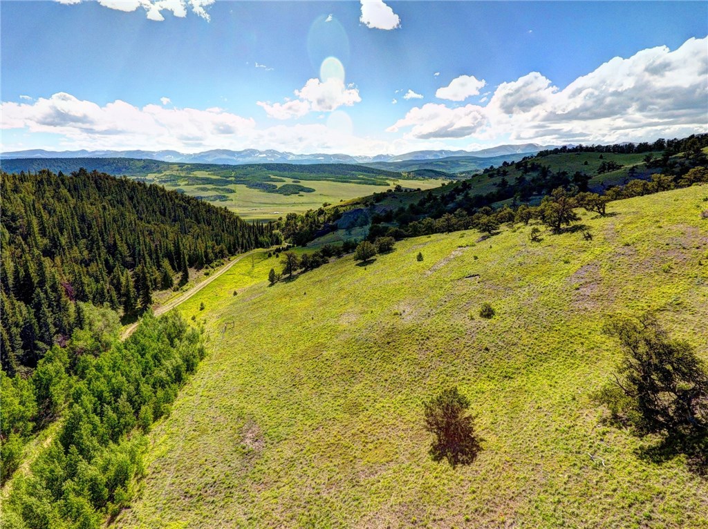2410 Reinecker Ridge Road Fairplay, CO 80440 - Photo 9 of 22 Gallery Image 9