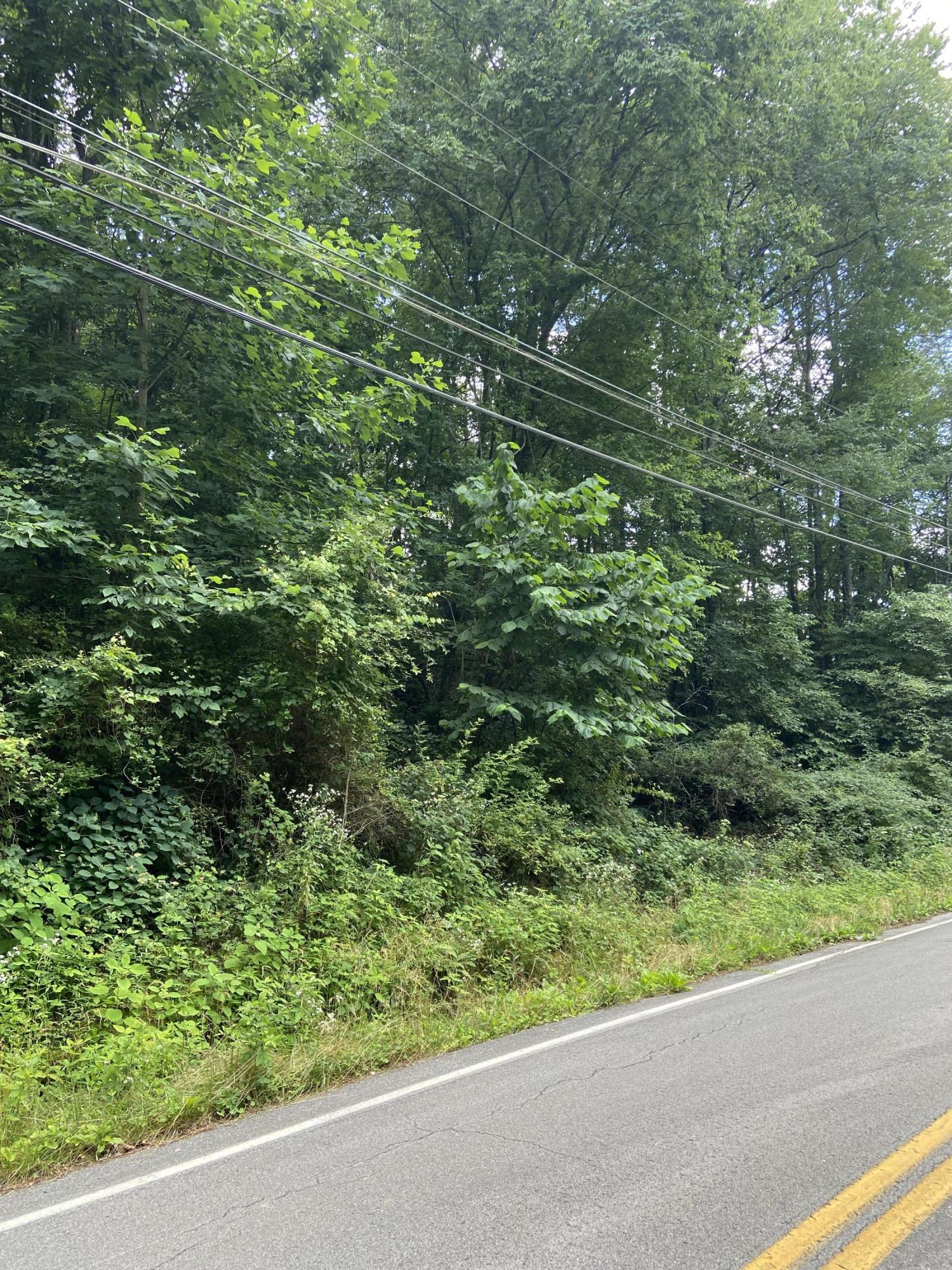 1706 Thatcher Road Soddy Daisy, TN 37379 - Photo 12 of 12 37340F1F-5EAC-4395-AE3B-85C6AC40193F
