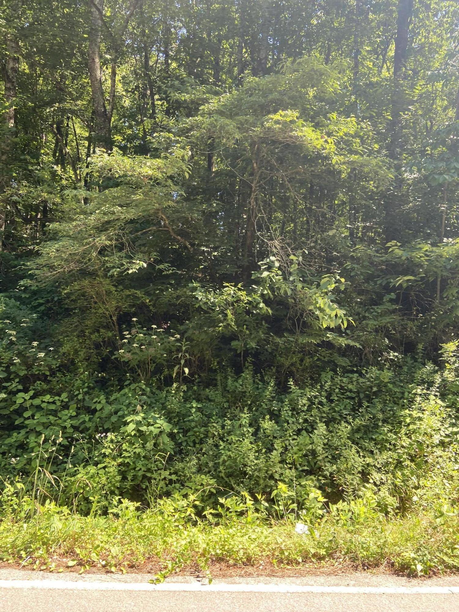 1706 Thatcher Road Soddy Daisy, TN 37379 - Photo 3 of 12 F3F39175-DEBE-42EF-9108-463C253B109B