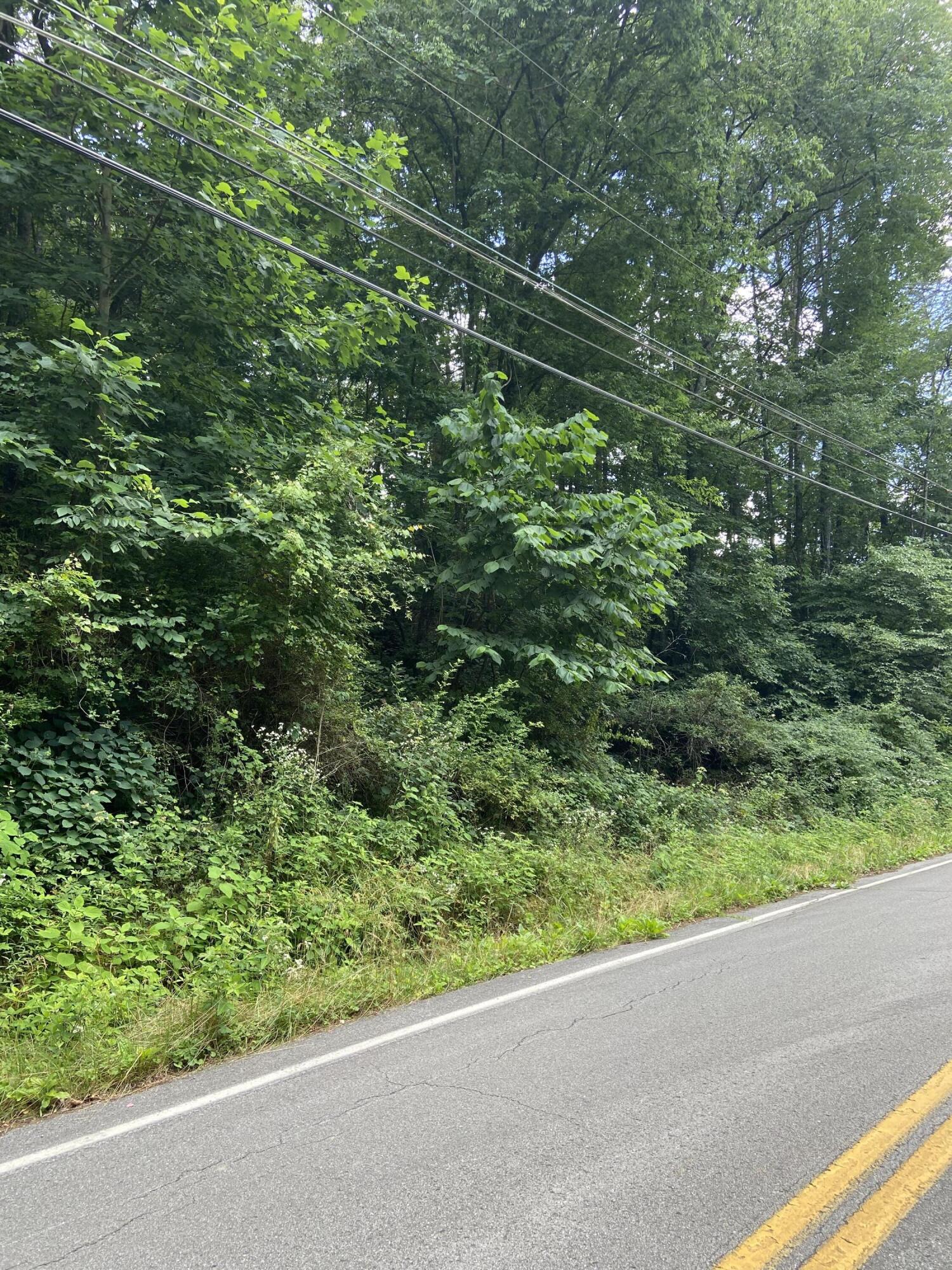 1706 Thatcher Road Soddy Daisy, TN 37379 - Photo 8 of 12 DBF4FED1-AC0F-456B-8B76-28C4C935A446