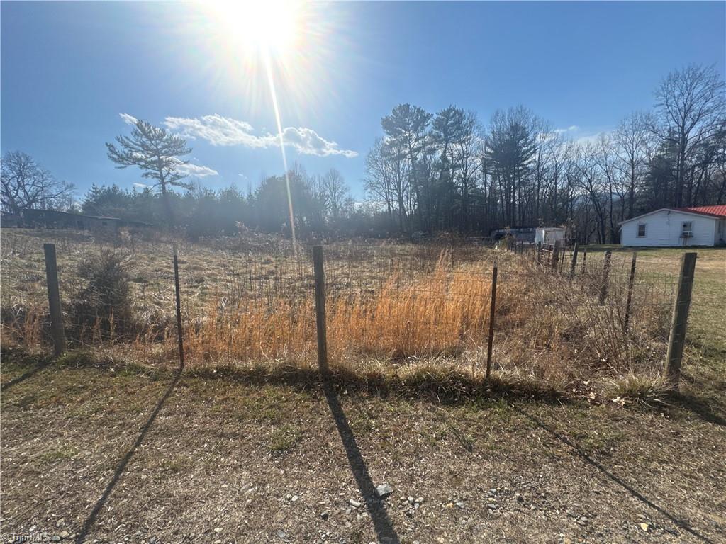 112 Hardwick Lane Lowgap, NC 27024 - Photo 3 of 22