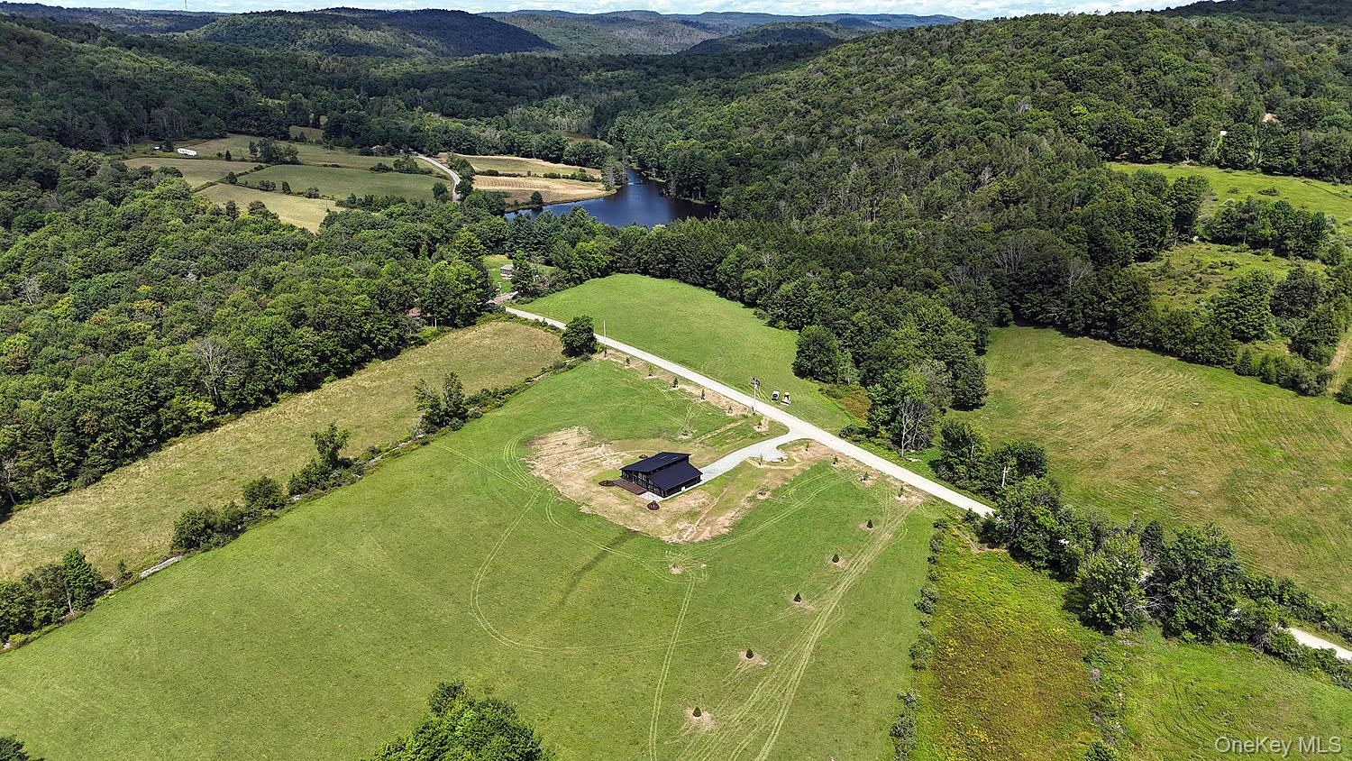 199 Henderson Road Hankins, NY 12741 - Photo 26 of 28 Home sits on12.29 acres, with KILLER views!