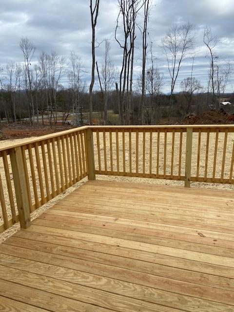 2054 Flint Hill Road Moneta, VA 24121 - Photo 19 of 24 Back deck
