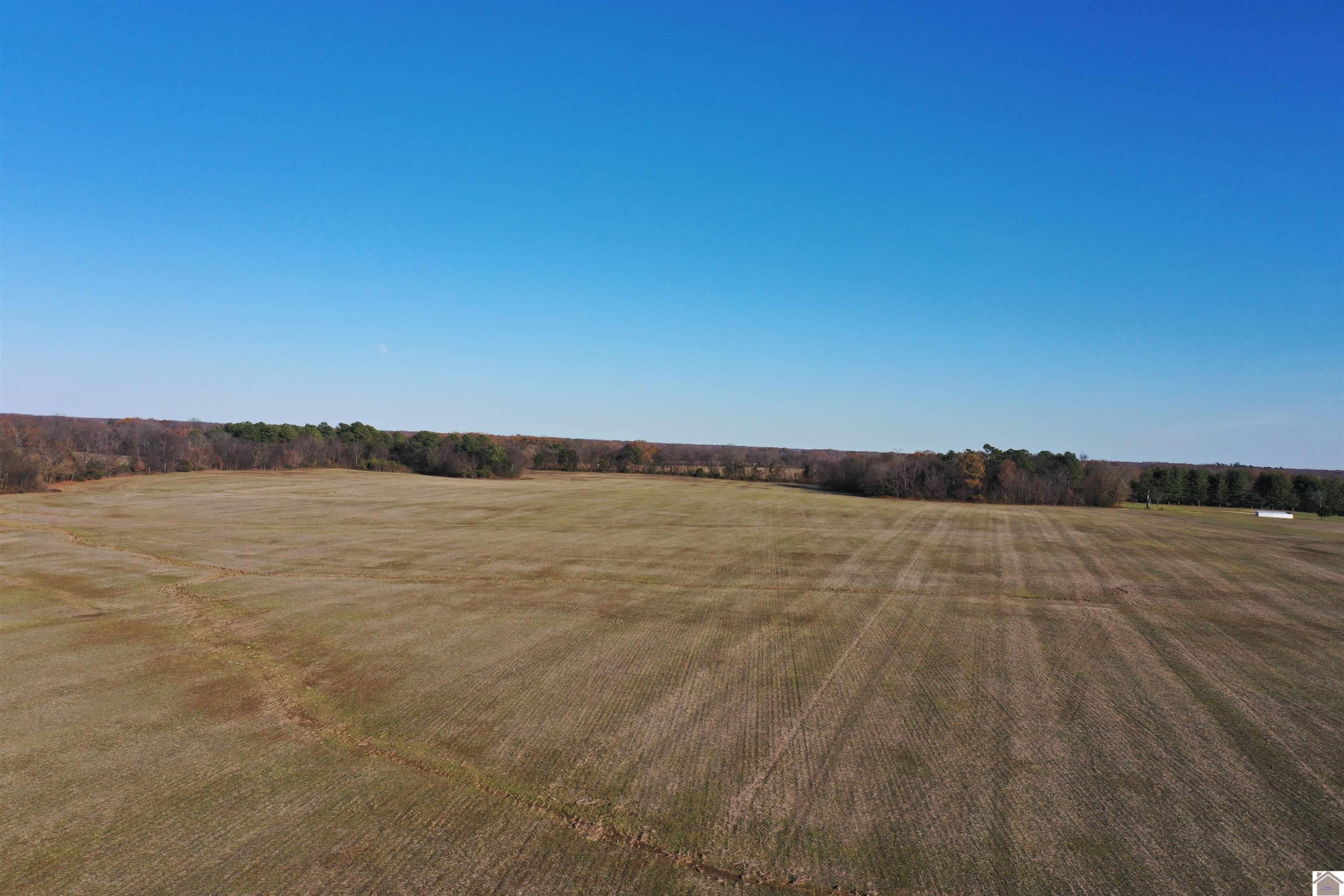 0 Coles Campground Road Murray, KY 42071 - Photo 14 of 15 Photo 14